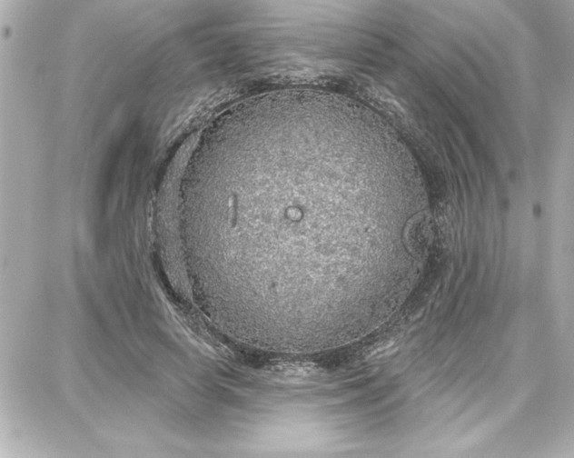 X0000087740642200705211013