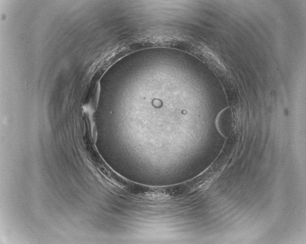 X0000087740644200705211013