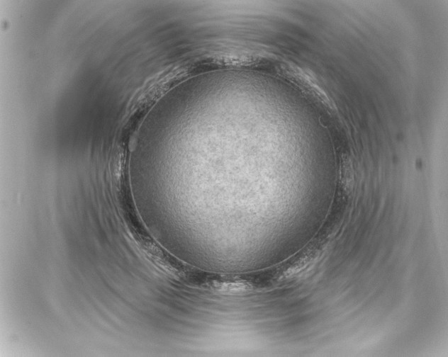 X0000087740645200705211013