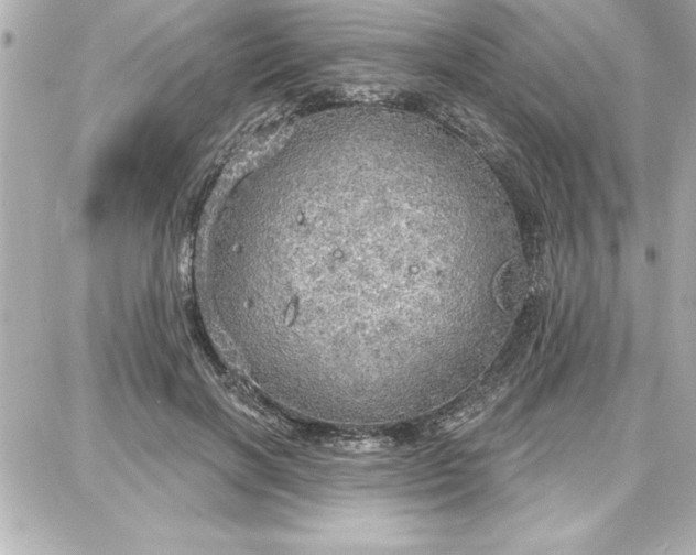 X0000087740646200705211013