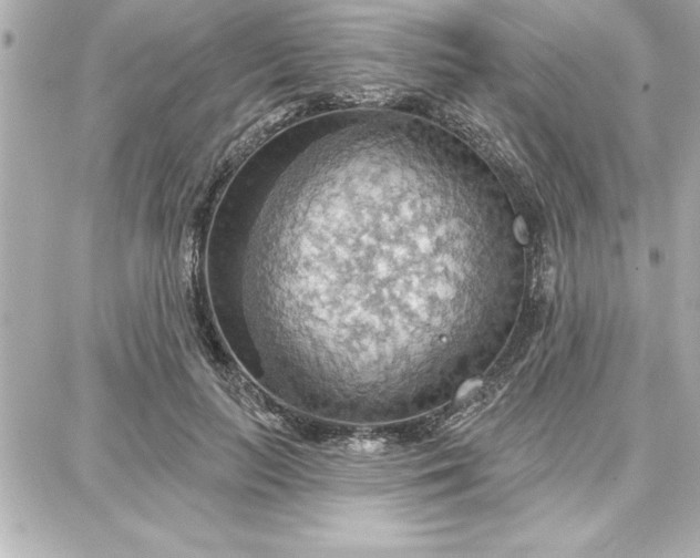 X0000087740647200705211013