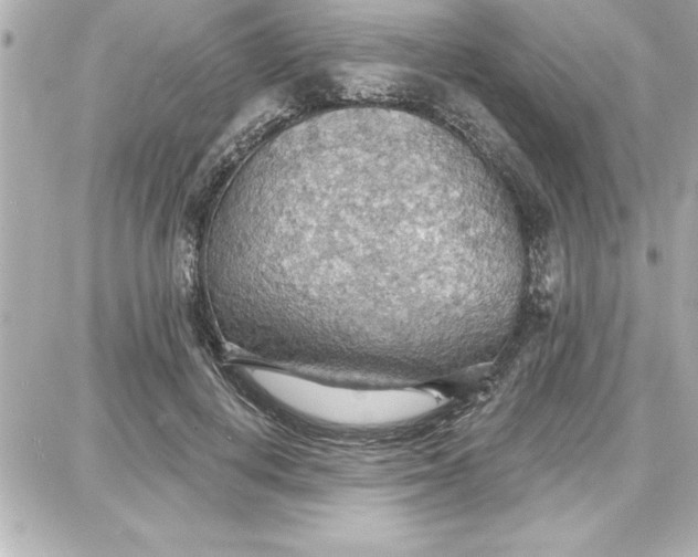 X0000087740648200705211013