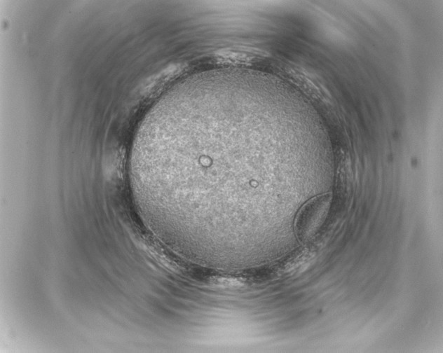 X0000087740649200705211013