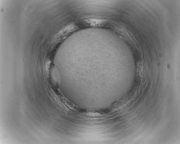 X0000087740650200705211013