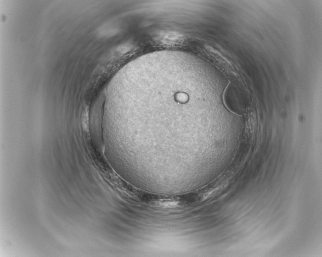 X0000087740651200705211013