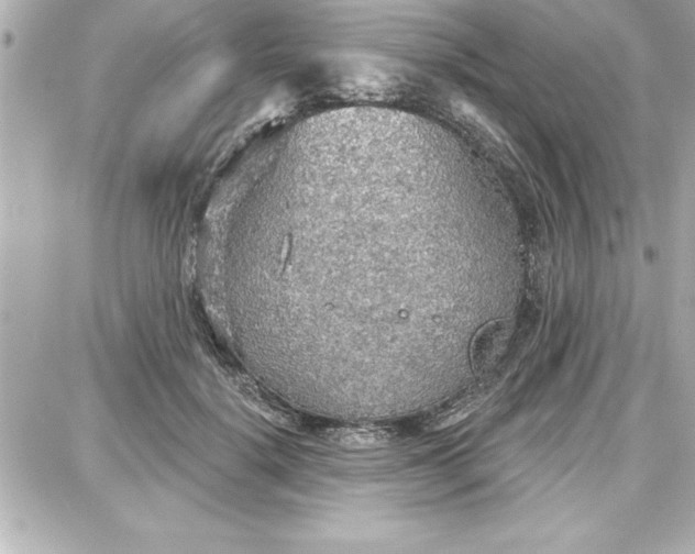 X0000087740652200705211013