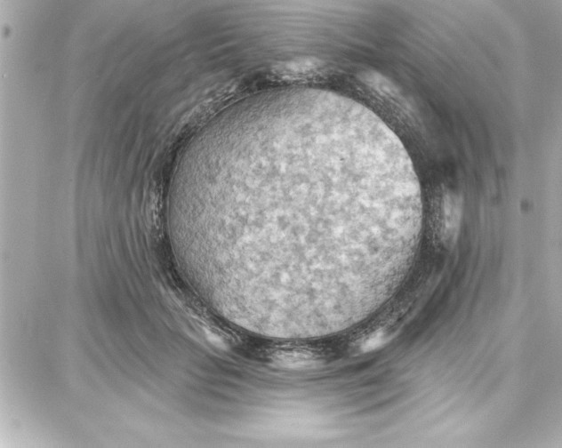 X0000087740653200705211013