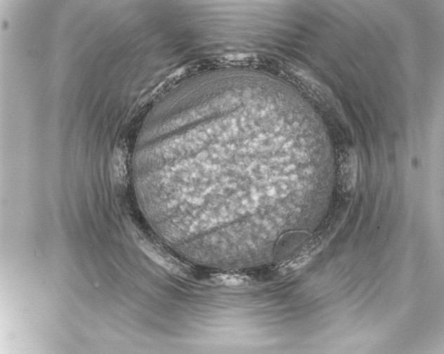 X0000087740654200705211013