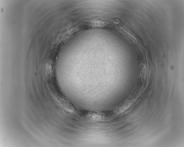 X0000087740655200705211013