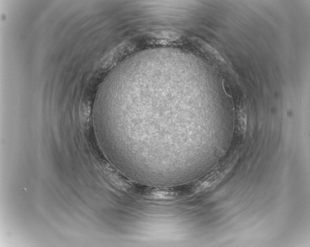 X0000087740657200705211013