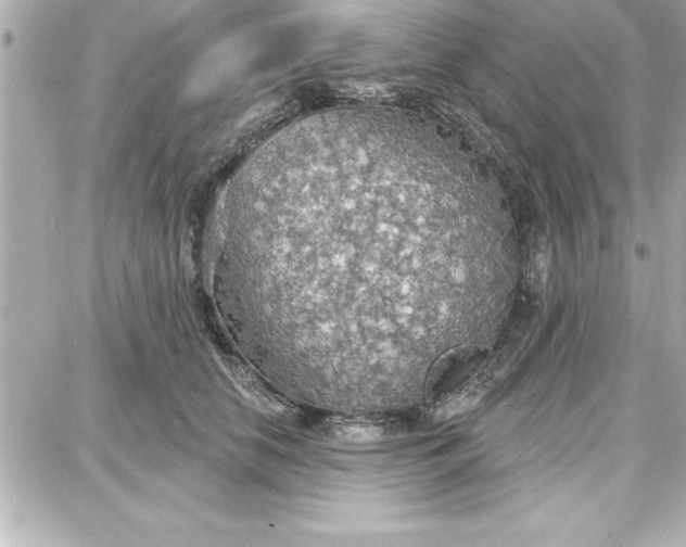 X0000087740658200705211013