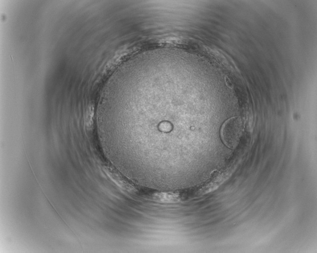 X0000087740660200705211014