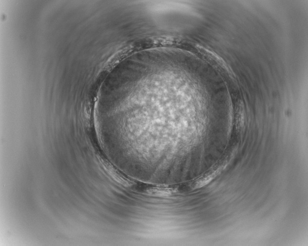 X0000087740661200705211014