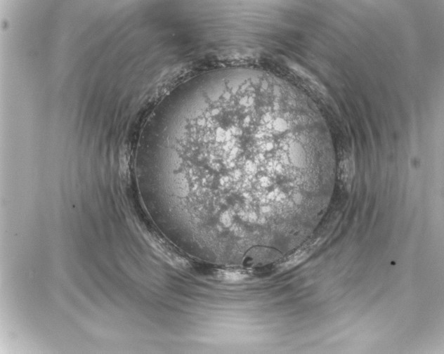 X0000087740662200705211014