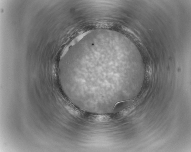 X0000087740663200705211014