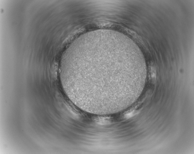 X0000087740664200705211014