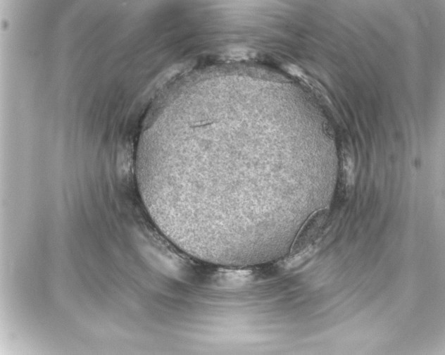 X0000087740665200705211014