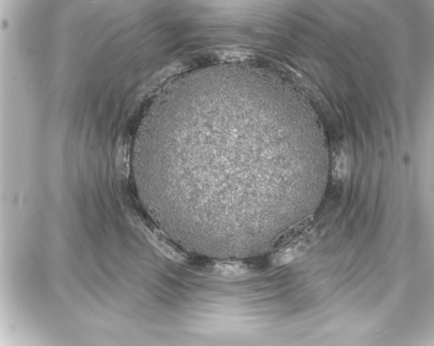 X0000087740666200705211014