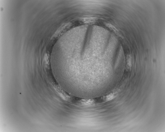 X0000087740667200705211014