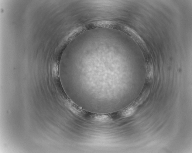 X0000087740669200705211014