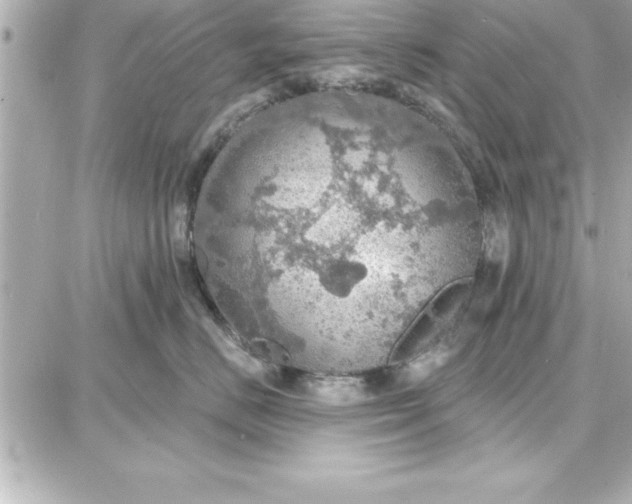 X0000087740670200705211014