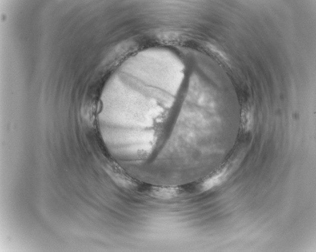 X0000087740671200705211014