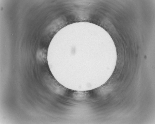 X0000087740672200705211014