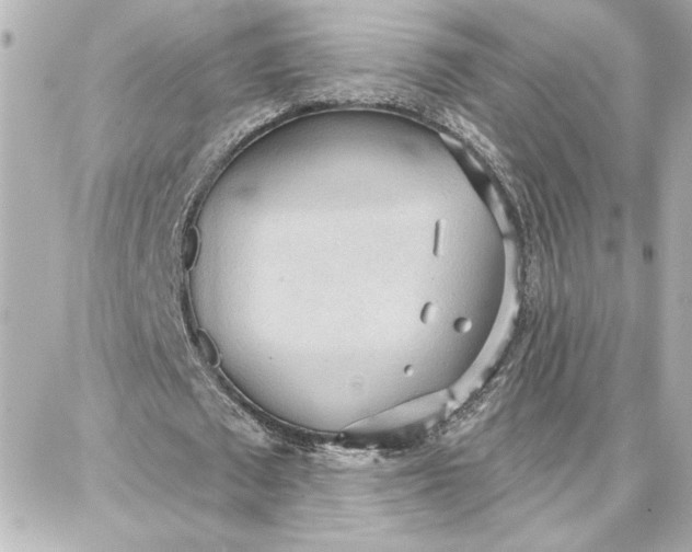 X0000087740673200705211013