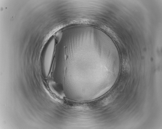 X0000087740674200705211013