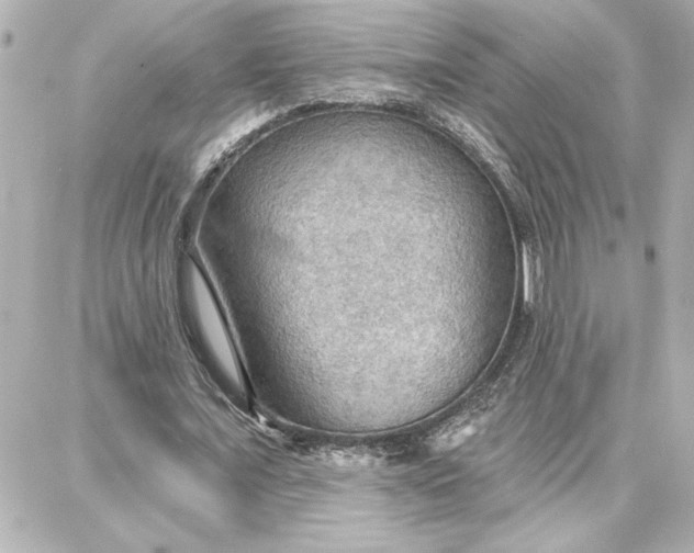 X0000087740675200705211013