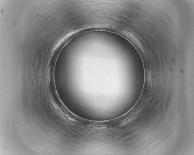 X0000087740676200705211013