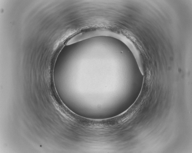 X0000087740677200705211013