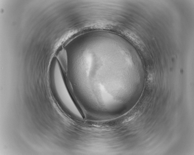 X0000087740678200705211013