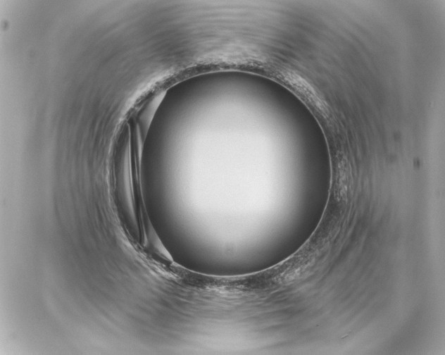 X0000087740680200705211013