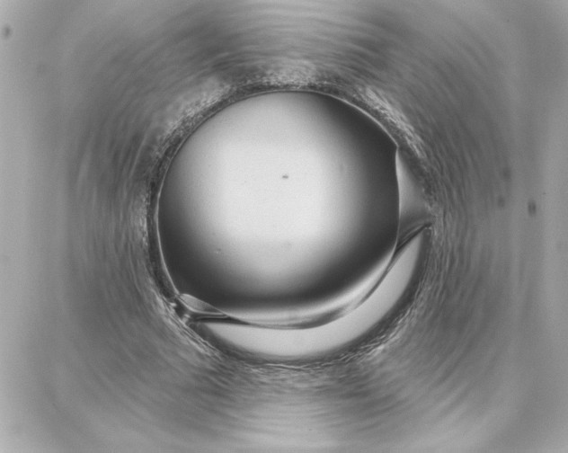 X0000087740681200705211013