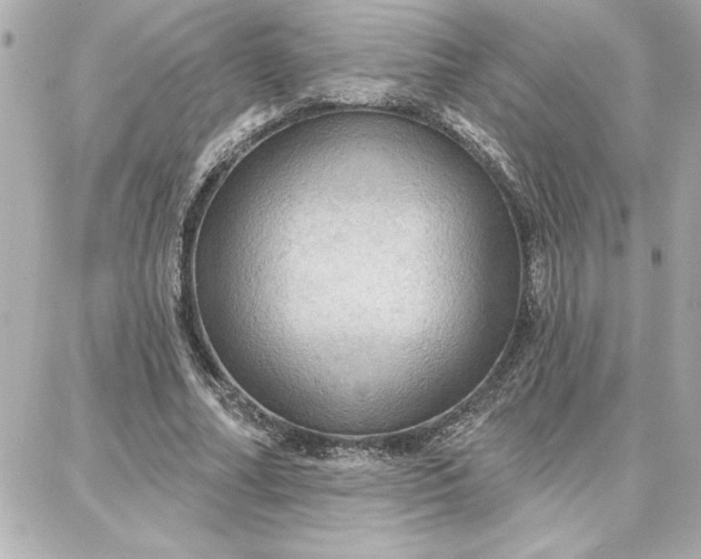 X0000087740682200705211013