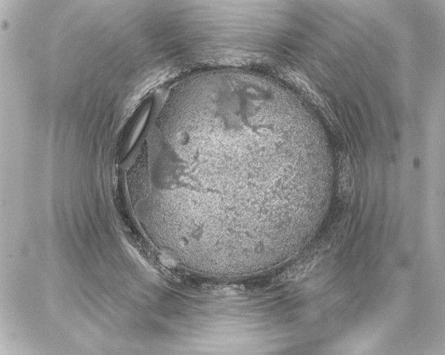 X0000087740683200705211013