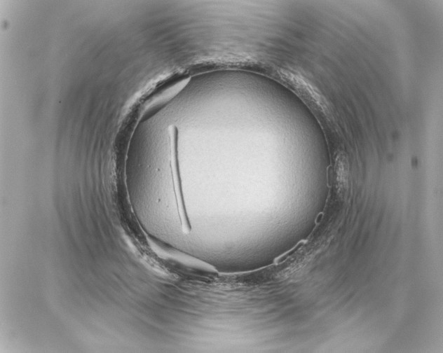 X0000087740684200705211013