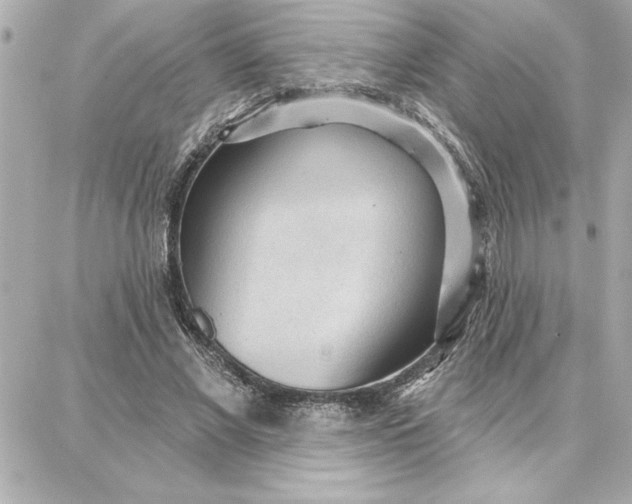 X0000087740685200705211013