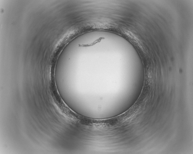 X0000087740686200705211013