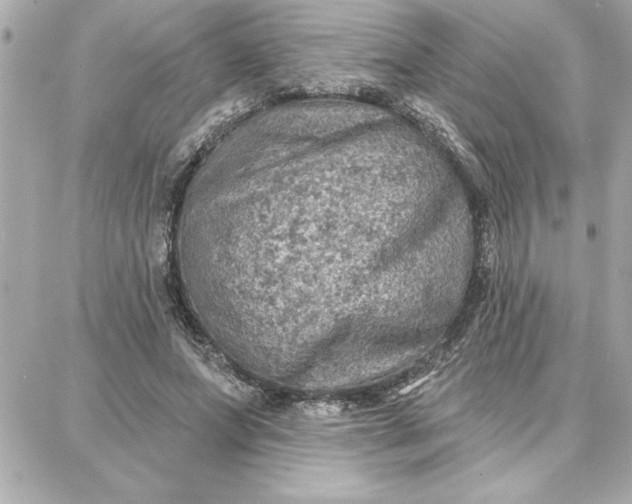 X0000087740687200705211013