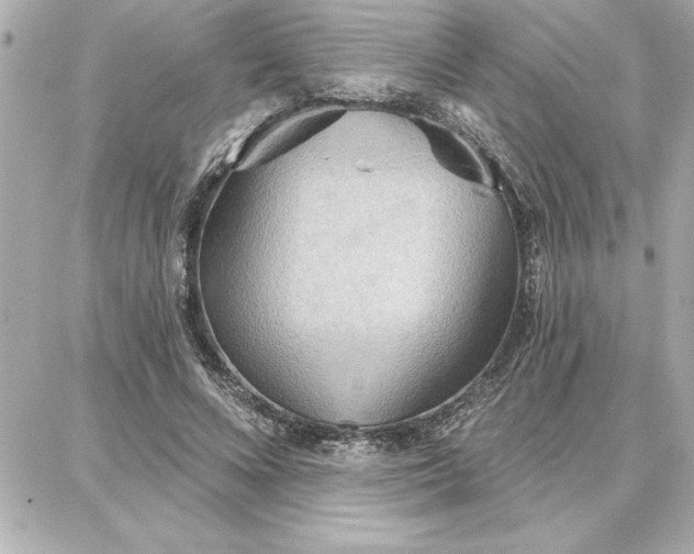 X0000087740688200705211013