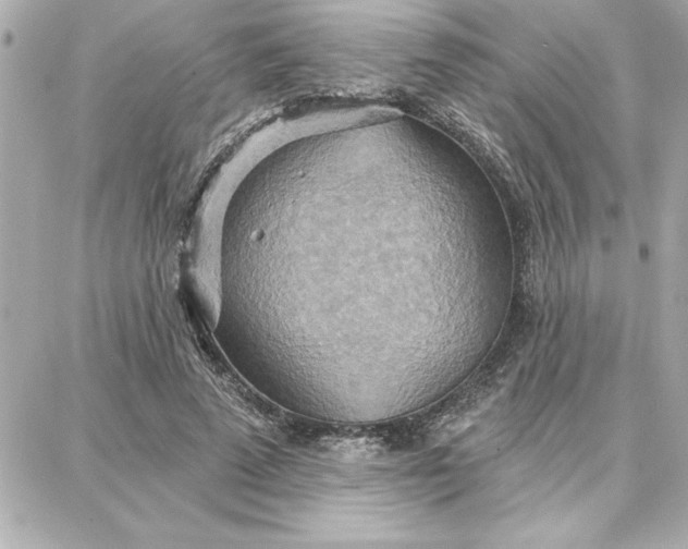 X0000087740689200705211013