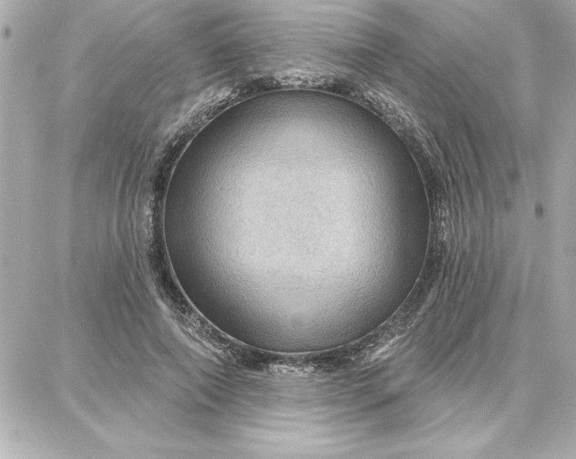 X0000087740690200705211013