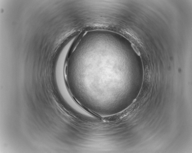 X0000087740692200705211013