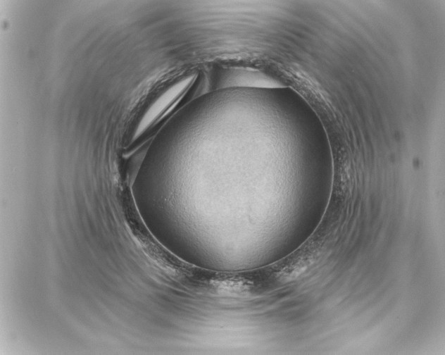 X0000087740693200705211013