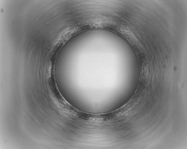 X0000087740694200705211013