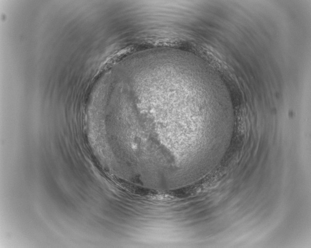 X0000087740695200705211013