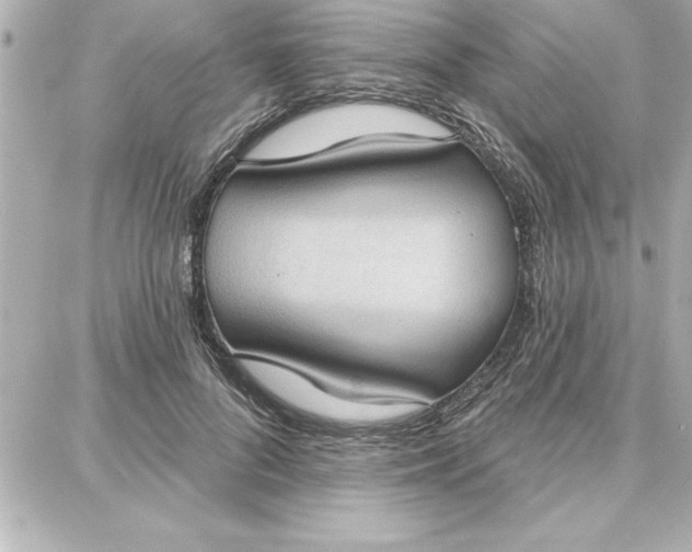 X0000087740696200705211013