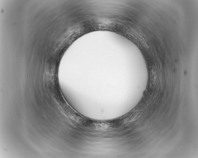 X0000087740698200705211013